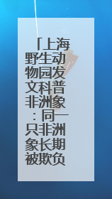 上海野生动物园发文科普非洲象：同一只非洲象长期被欺负消息不实