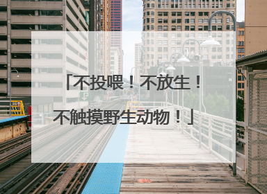 不投喂！不放生！不触摸野生动物！
