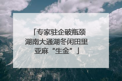 专家驻企破瓶颈 湖南大通湖冬闲田里亚麻“生金”