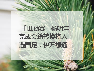 世预赛｜杨明洋完成会籍转换将入选国足，伊万想通了要打双后腰？