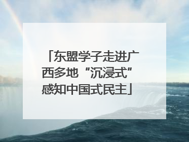 东盟学子走进广西多地“沉浸式”感知中国式民主