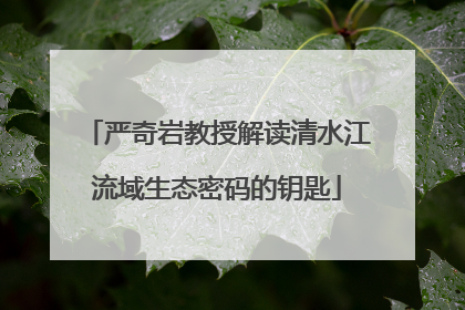 严奇岩教授解读清水江流域生态密码的钥匙