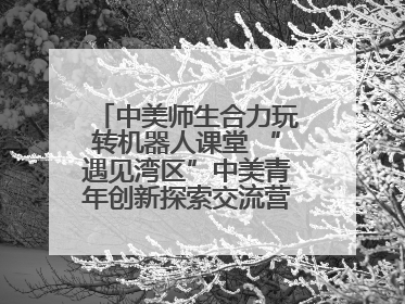 中美师生合力玩转机器人课堂 “遇见湾区”中美青年创新探索交流营在深圳开营