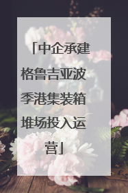 中企承建格鲁吉亚波季港集装箱堆场投入运营