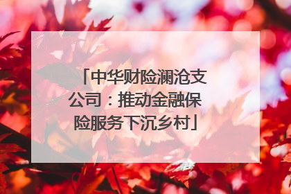 中华财险澜沧支公司：推动金融保险服务下沉乡村