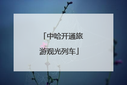 中哈开通旅游观光列车