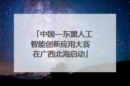 中国—东盟人工智能创新应用大赛在广西北海启动