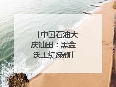 中国石油大庆油田：黑金沃土绽绿颜