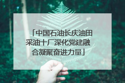 中国石油长庆油田采油十厂深化党建融合凝聚奋进力量