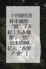 中国经济样本观察·“镇”了不起｜为衣做架，“挂”出来的80亿元“衣架产业”