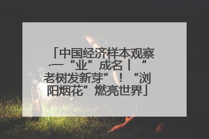 中国经济样本观察·一“业”成名丨“老树发新芽”！“浏阳烟花”燃亮世界
