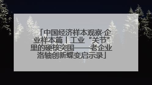 中国经济样本观察·企业样本篇丨工业“关节”里的硬核突围——老企业洛轴创新蝶变启示录