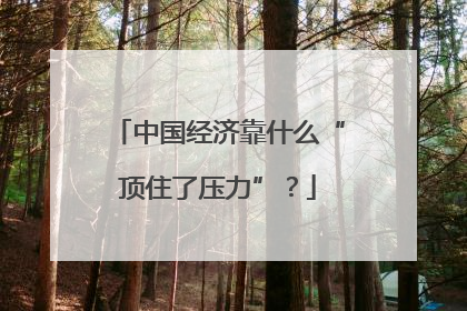 中国经济靠什么“顶住了压力”？