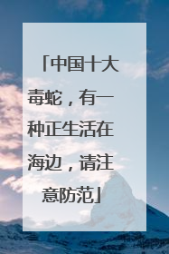 中国十大毒蛇，有一种正生活在海边，请注意防范