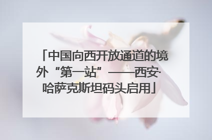 中国向西开放通道的境外“第一站”——西安·哈萨克斯坦码头启用