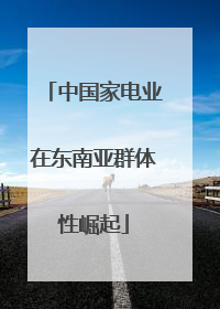 中国家电业在东南亚群体性崛起