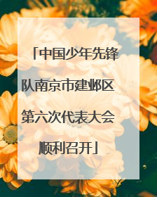 中国少年先锋队南京市建邺区第六次代表大会顺利召开