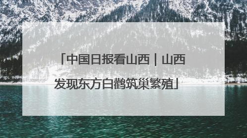 中国日报看山西｜山西发现东方白鹳筑巢繁殖
