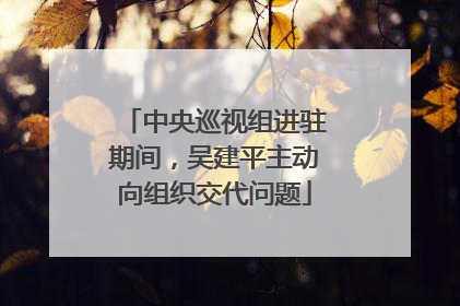 中央巡视组进驻期间，吴建平主动向组织交代问题