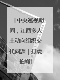 中央巡视期间，江西多人主动向组织交代问题｜打虎拍蝇