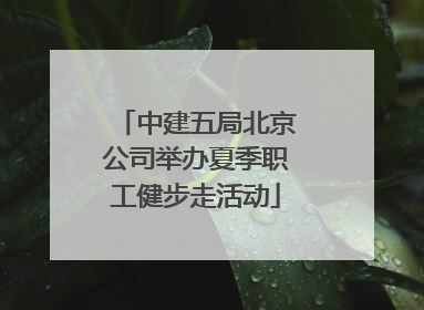 中建五局北京公司举办夏季职工健步走活动