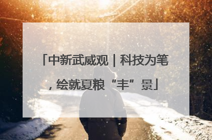 中新武威观｜科技为笔，绘就夏粮“丰”景