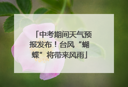 中考期间天气预报发布！台风“蝴蝶”将带来风雨