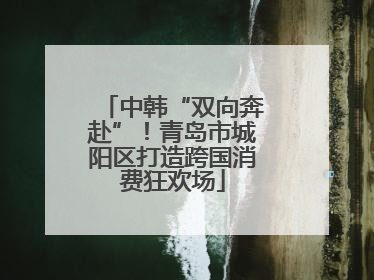 中韩“双向奔赴”！青岛市城阳区打造跨国消费狂欢场