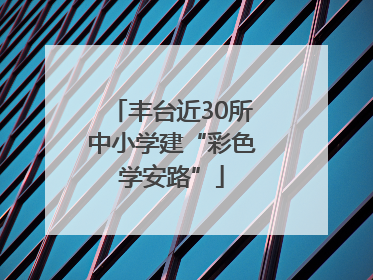 丰台近30所中小学建“彩色学安路”