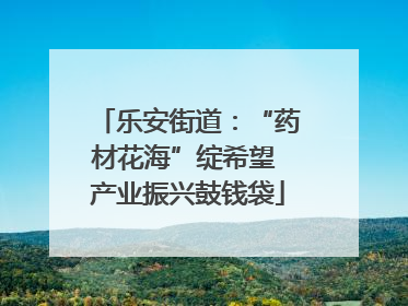 乐安街道：“药材花海”绽希望 产业振兴鼓钱袋