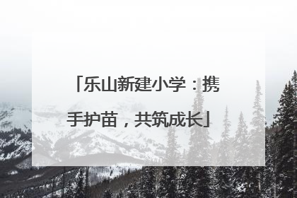 乐山新建小学：携手护苗，共筑成长