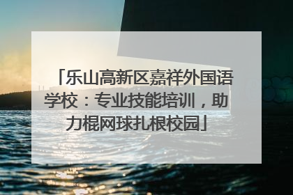 乐山高新区嘉祥外国语学校：专业技能培训，助力棍网球扎根校园
