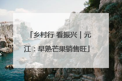 乡村行 看振兴｜元江：早熟芒果销售旺