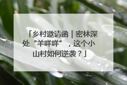 乡村邀请函｜密林深处“羊咩咩”，这个小山村如何逆袭？