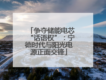 争夺储能电芯“话语权”：宁德时代与阳光电源正面交锋