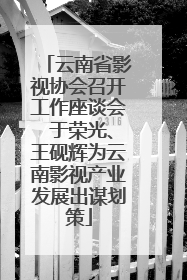 云南省影视协会召开工作座谈会 于荣光、王砚辉为云南影视产业发展出谋划策