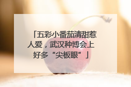五彩小番茄清甜惹人爱，武汉种博会上好多“尖板眼”