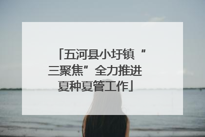 五河县小圩镇“三聚焦”全力推进夏种夏管工作