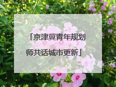 京津冀青年规划师共话城市更新