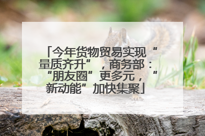 今年货物贸易实现“量质齐升”，商务部：“朋友圈”更多元，“新动能”加快集聚