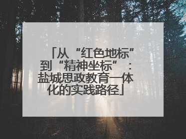 从“红色地标”到“精神坐标”：盐城思政教育一体化的实践路径