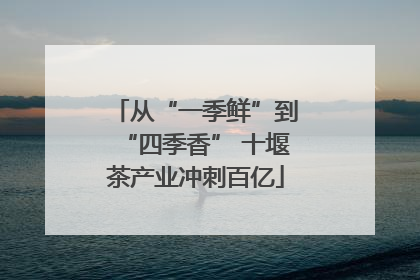 从“一季鲜”到“四季香” 十堰茶产业冲刺百亿