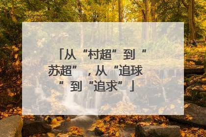 从“村超”到“苏超”，从“追球”到“追求”