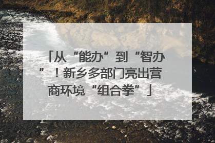 从“能办”到“智办”！新乡多部门亮出营商环境“组合拳”