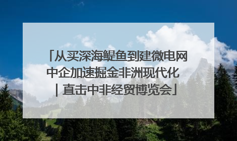 从买深海鳀鱼到建微电网 中企加速掘金非洲现代化｜直击中非经贸博览会