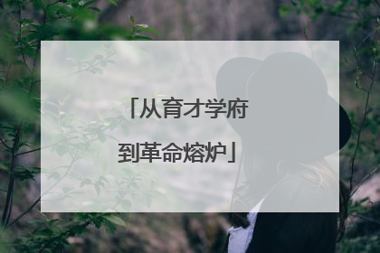从育才学府到革命熔炉