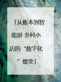从账本到智能屏 乡村小店的“数字化”蝶变