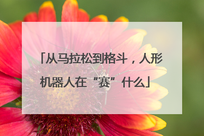 从马拉松到格斗，人形机器人在“赛”什么