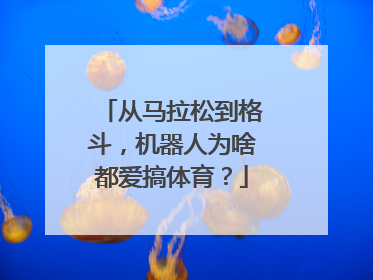 从马拉松到格斗，机器人为啥都爱搞体育？
