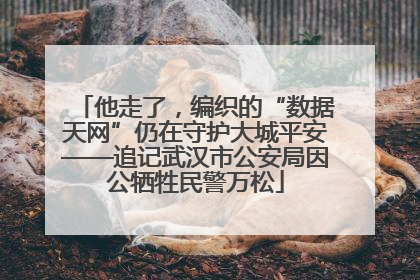 他走了，编织的“数据天网”仍在守护大城平安——追记武汉市公安局因公牺牲民警万松